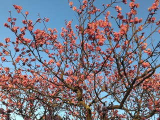 20160208_170912_Android.jpg